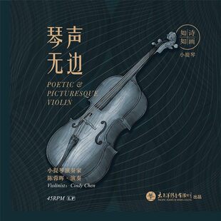 官方正版 琴声无边 其实你不懂我的心 我的花儿 45转粉LP红胶唱片