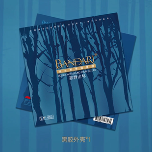 纯音乐 寂静山林 2LP彩胶唱片碟 瑞士班得瑞乐团BANDARI专辑 正版