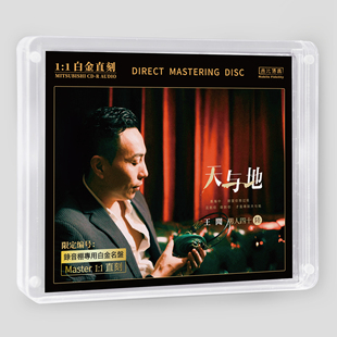 官方正版 王闻 男人四十陸·天与地 限量编码 1:1白金直刻唱片