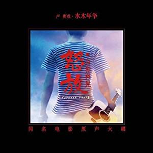 官方正版 水木年华 怒放之青春再见 同名电影 专辑唱片cd碟片