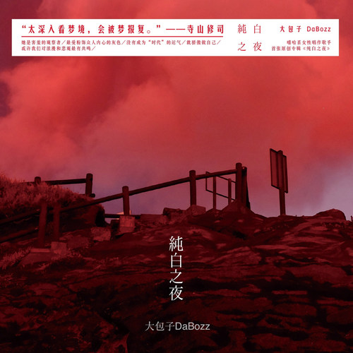 星外星官方正版 大包子DaBozz 纯白之夜 CD 嘻哈说唱流行音乐唱片