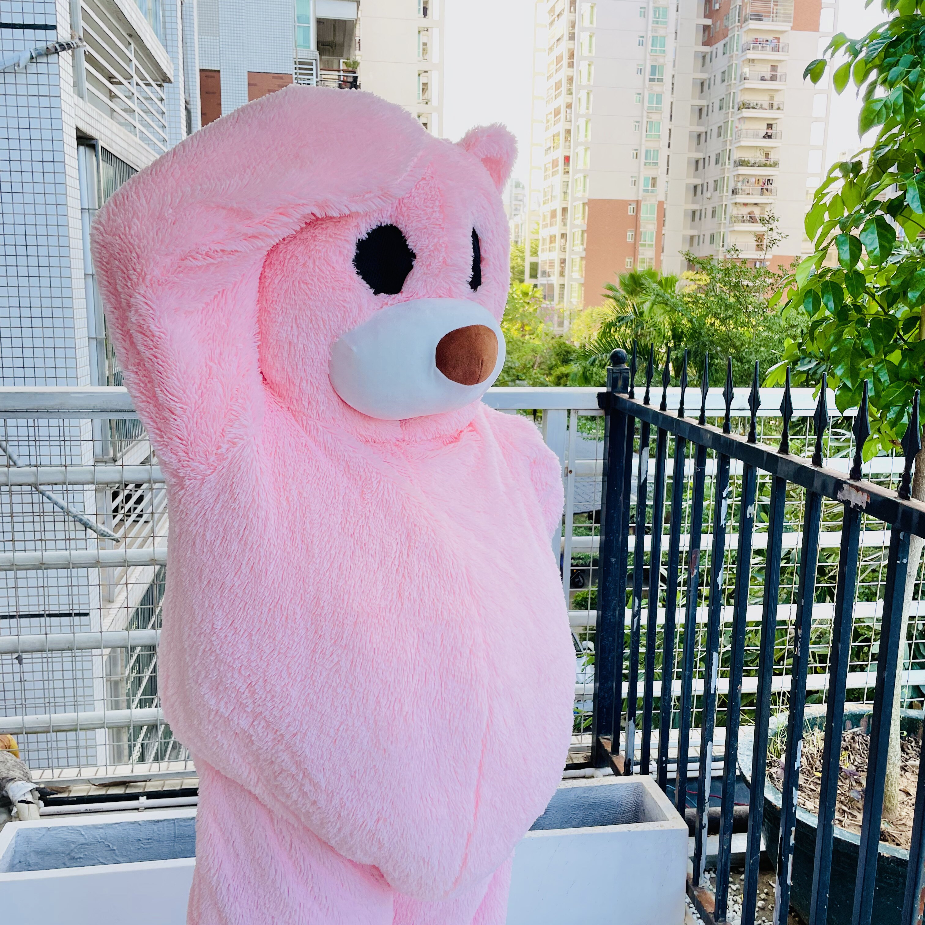 小熊玩偶服熊熊外套可穿网红跳舞熊粉红跳舞熊粉红色跳舞熊公仔