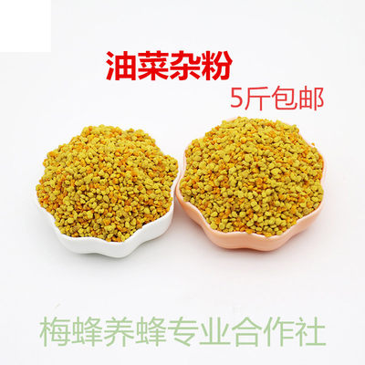 蜜蜂饲料油菜喂蜂用花粉油菜杂粉