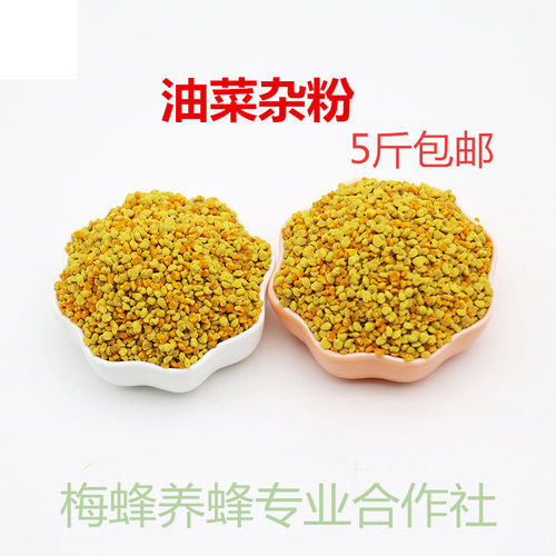 蜜蜂饲料油菜喂蜂用花粉油菜杂粉