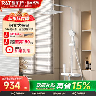 瑞尔特淋浴花洒套装自清洁按摩背喷钢琴键置物台洗澡沐浴器K25P