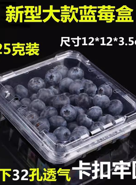 新型大款125g克加厚蓝莓盒子透明一次性包装盒枸杞树莓桑果保鲜盒