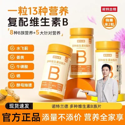 诺特兰德多种维生素B族片72粒复合维生素b儿童成人咀嚼片男女通用
