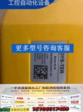 DYS-TER 偏航计数器 RLSL系列议价