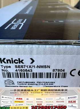 Knick SE571X/1-NMSN pH传感器，议价