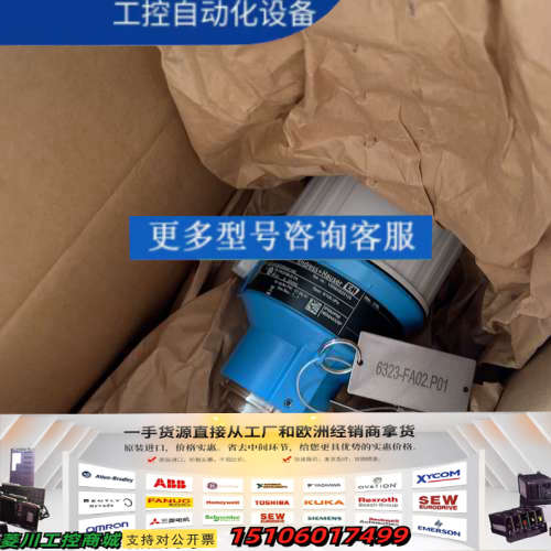 E+H压力变送器PMP51-RPT8/0，量程100-1议价