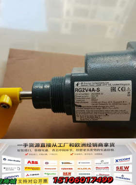 英国4B料位传感器.料位开关、RG2具体看型号，的没有外议价