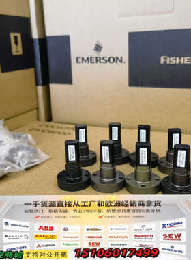 Fisher/费希尔GE04535X012角行程磁条，带议价