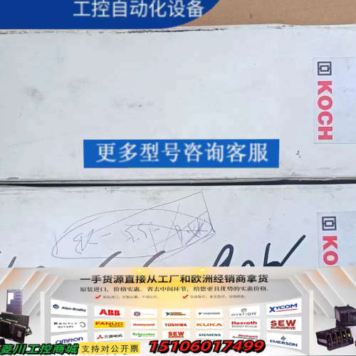 德国KOCH 制动电阻BWD500240，200W  2议价