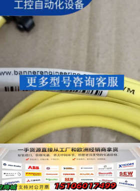 Banner DELS-113E 双端连接线 LS-直型 1议价
