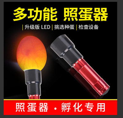 孵化专用照蛋器强光手电led冷光