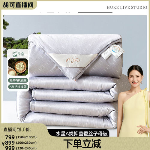 水星家纺A类抑菌蚕丝二合一被