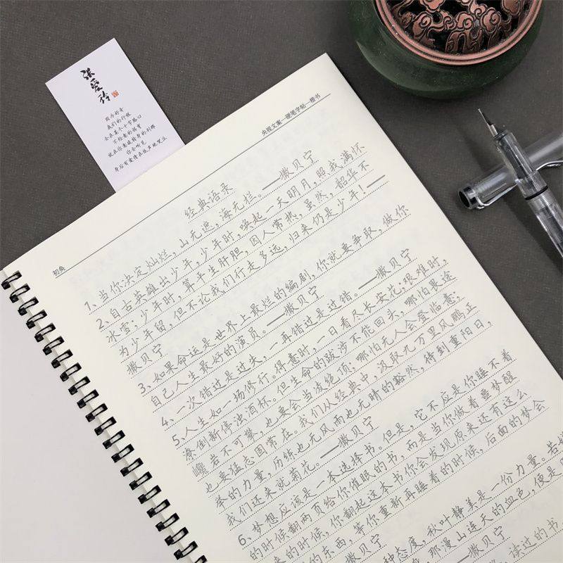 央视文案本大报金句摘抄董卿经典语录高考作文素材正行楷书练字帖