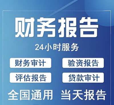 审计咨询公司投标年度报告财务报表模板专项验资审计资产咨询评估