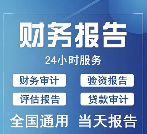 财务审计投标年检财务报表