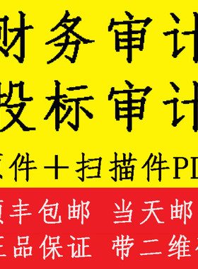 公司财务报表审计咨询年度投标专项验资实缴年报资产估报告财务评报表备案