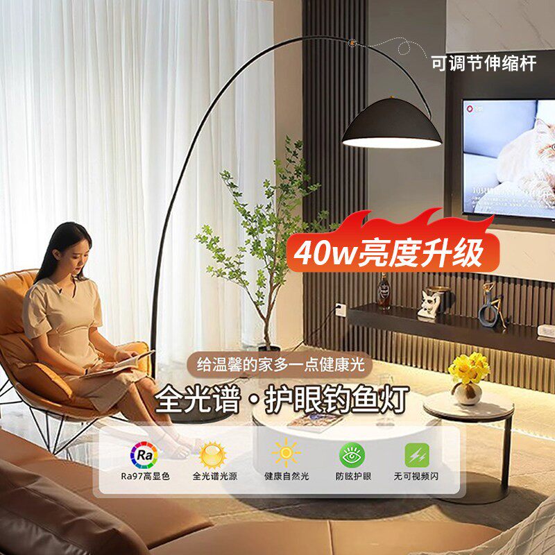 钓鱼灯落地灯客厅沙发旁边高级感2026新款氛围灯轻奢智能卧室台灯