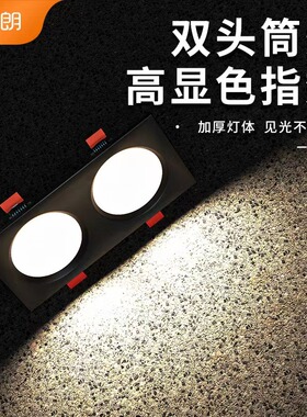 爱德朗led双头筒灯天花灯嵌入式射灯商用方形cob超薄斗胆灯格栅灯