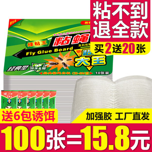 苍蝇贴强力粘蝇纸家用粘蝇板灭苍蝇神器黏沾蚊蝇子胶捕捉蝇一扫光