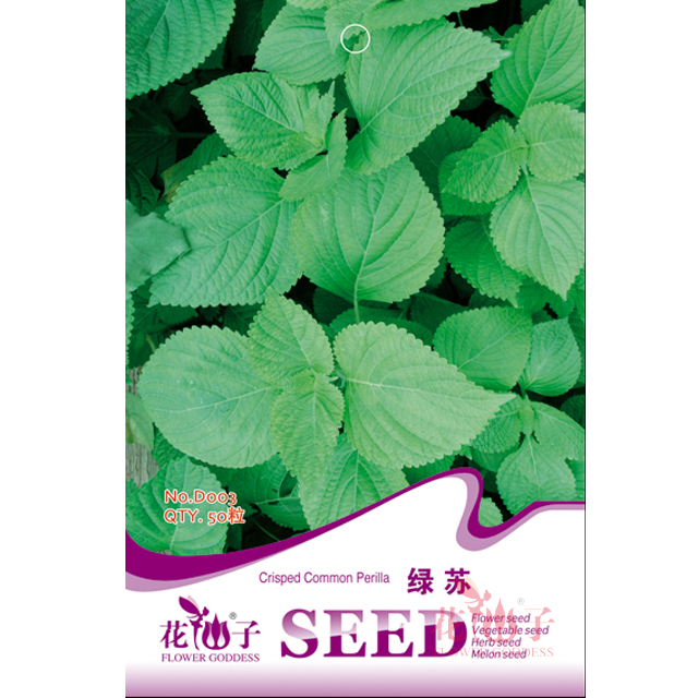 绿苏种子 四季芳香香料香草种子 阳台庭院盆栽易种  (50粒/袋)