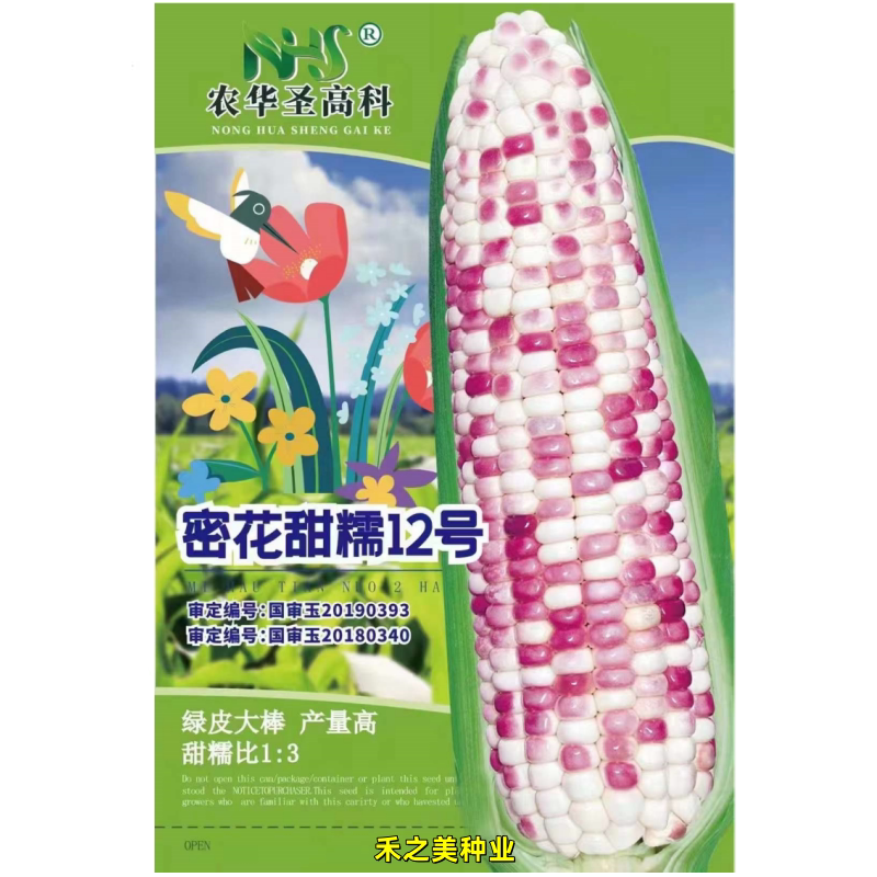 密花甜糯12号彩甜糯玉米种子口感好甜糯大棒高产抗病商品佳春秋播