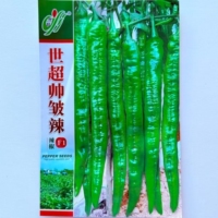 世超帅皱辣长羊角椒种子杂交中熟辣味中等辣椒种籽农家春秋季播种