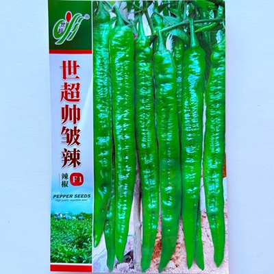 世超帅皱辣长羊角椒种子杂交中熟辣味中等辣椒种籽农家春秋季播种