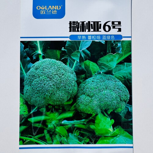 撒利亚6号西兰花种子西蓝花早熟耐寒青梗小米粒秋播青花菜种子籽