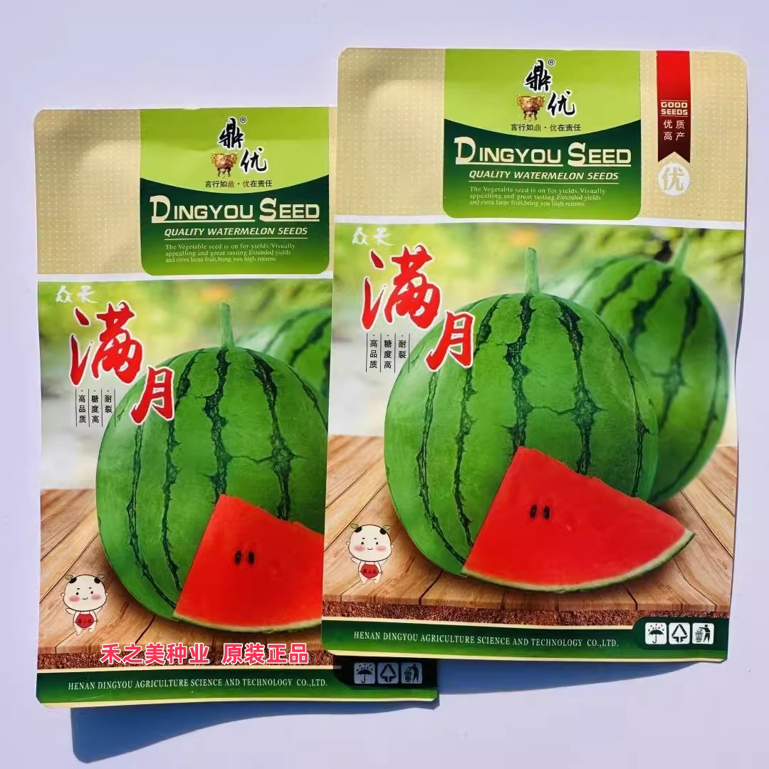 鼎优满月西瓜种子早熟小果型西瓜果肉红色果皮硬度较韧肉质脆西瓜