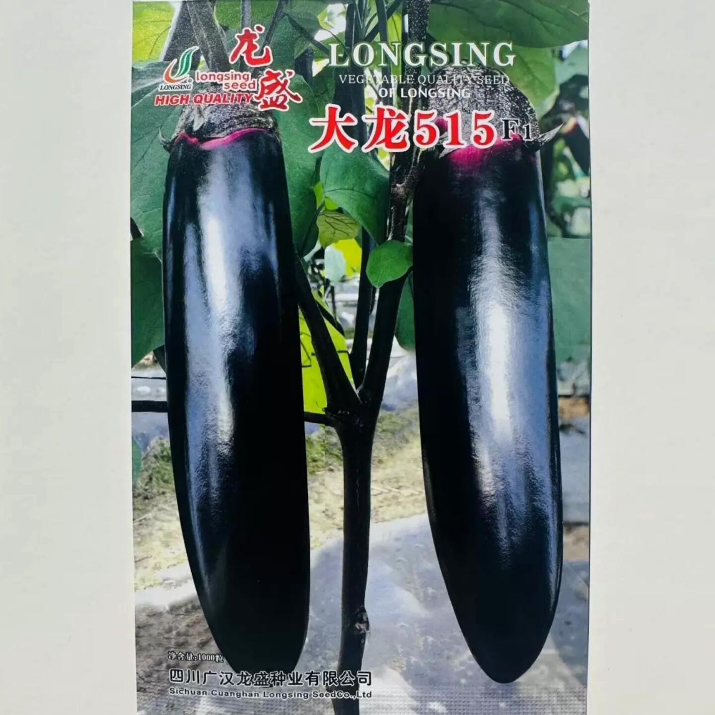 龙盛烧烤茄种子四川大龙515粗棒型茄子种子软糯清香好吃烧烤茄子