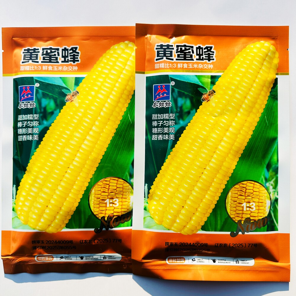 农娃娃黄蜜蜂甜糯玉米种子鲜食大棒1比3黄甜糯玉米种籽大田基地播