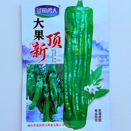 大果顶新薄皮泡椒种子抗病早熟皮薄质脆杂交辣椒种籽农家春秋季播