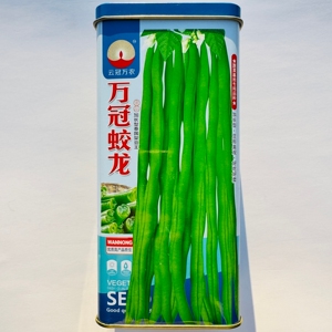 万冠蛟龙加长型泰国架豆种子抗病高产鲜嫩无筋四季豆种籽春秋季播