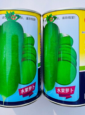 杂交菠萝蜜水果萝卜种子皮薄脆甜水果青萝卜种籽肉翠绿农家秋季播