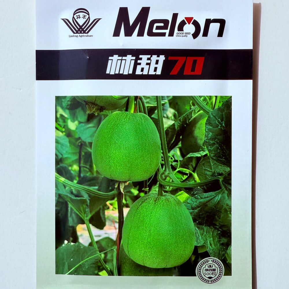 林甜70绿宝甜瓜种子高产杂交中熟香瓜种籽农家早春播种水果种孑