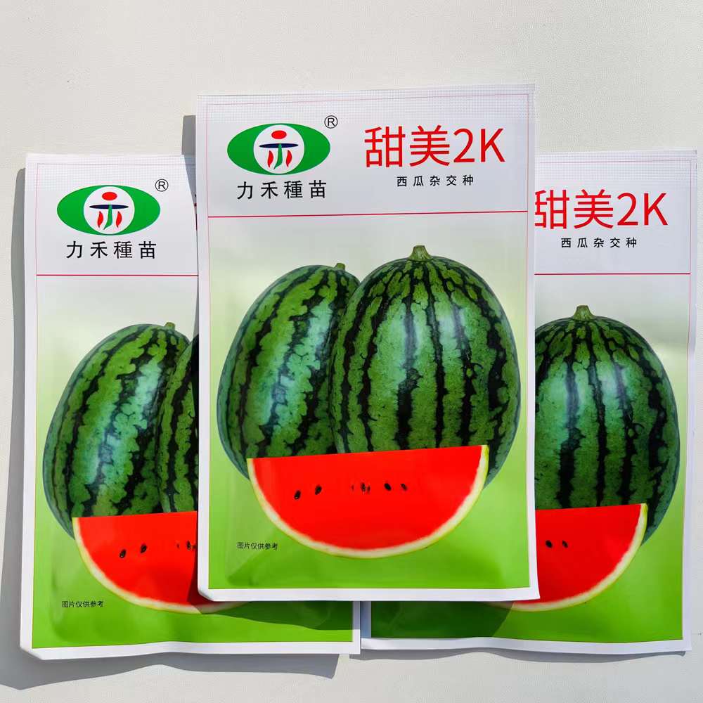 力禾甜美2K西瓜种子田园基地春秋抗病高产椭圆形红瓤超甜西瓜种籽
