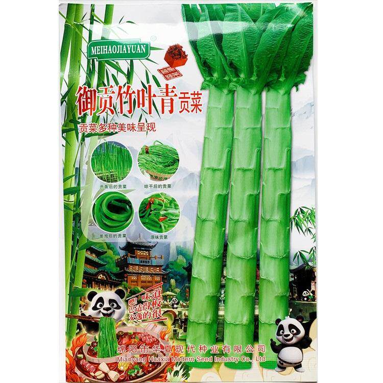 御贡竹叶青贡菜种子长棒型尖叶贡菜种子山蛰菜响菜莴笋莴苣种子
