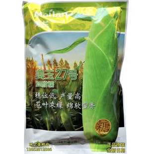 美兰美玉27号甜糯玉米种子高产抗病抗倒大棒南北方农家春秋两季播