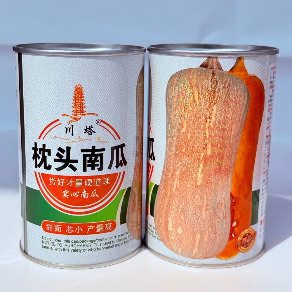 川塔枕头南瓜种子杂交中晚熟甜面芯小产量高实心南瓜种籽春秋季播