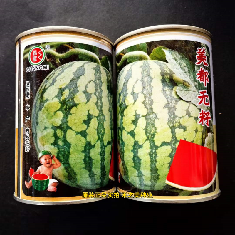 美都无籽西瓜种孑种子手工精选圆形花皮红瓤中熟三倍体杂交西瓜籽