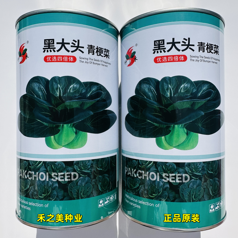 青梗菜种子种籽黑大头黑叶矮脚油菜青菜菜籽上海青四季蔬菜孑籽种