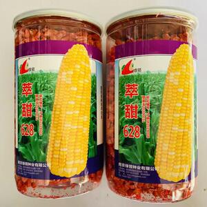绿领萃甜628玉米种子鲜食双色水果玉米种籽黄白相间南北春秋季播
