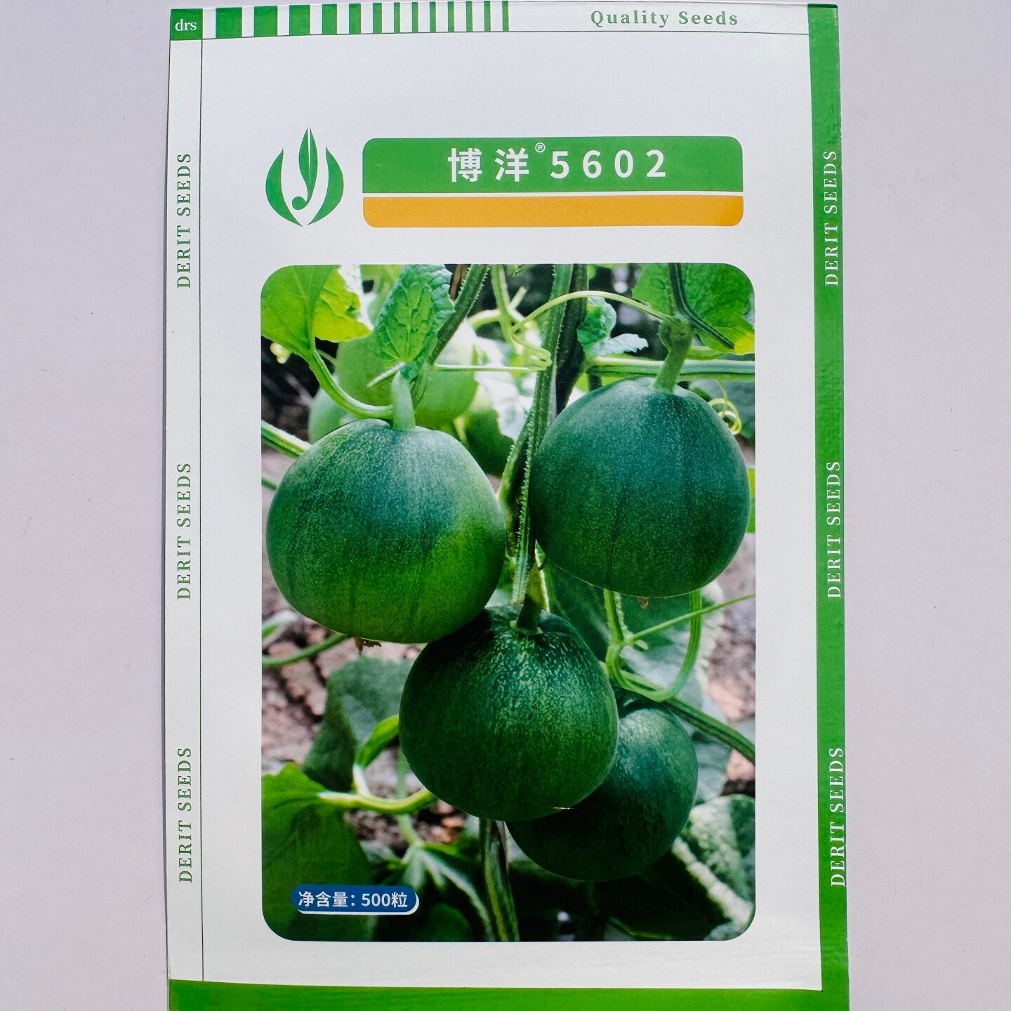 德瑞特博洋5602甜瓜种子杂交早熟绿皮绿瓤香瓜种籽农家春大棚播种