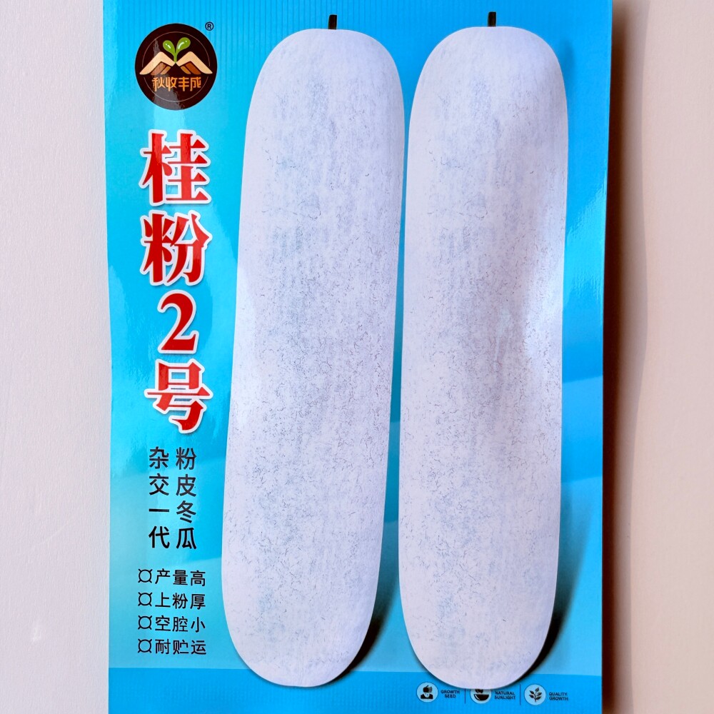桂粉2号粉皮冬瓜种子抗病杂交商品性好高产冬瓜种籽农家春秋季播