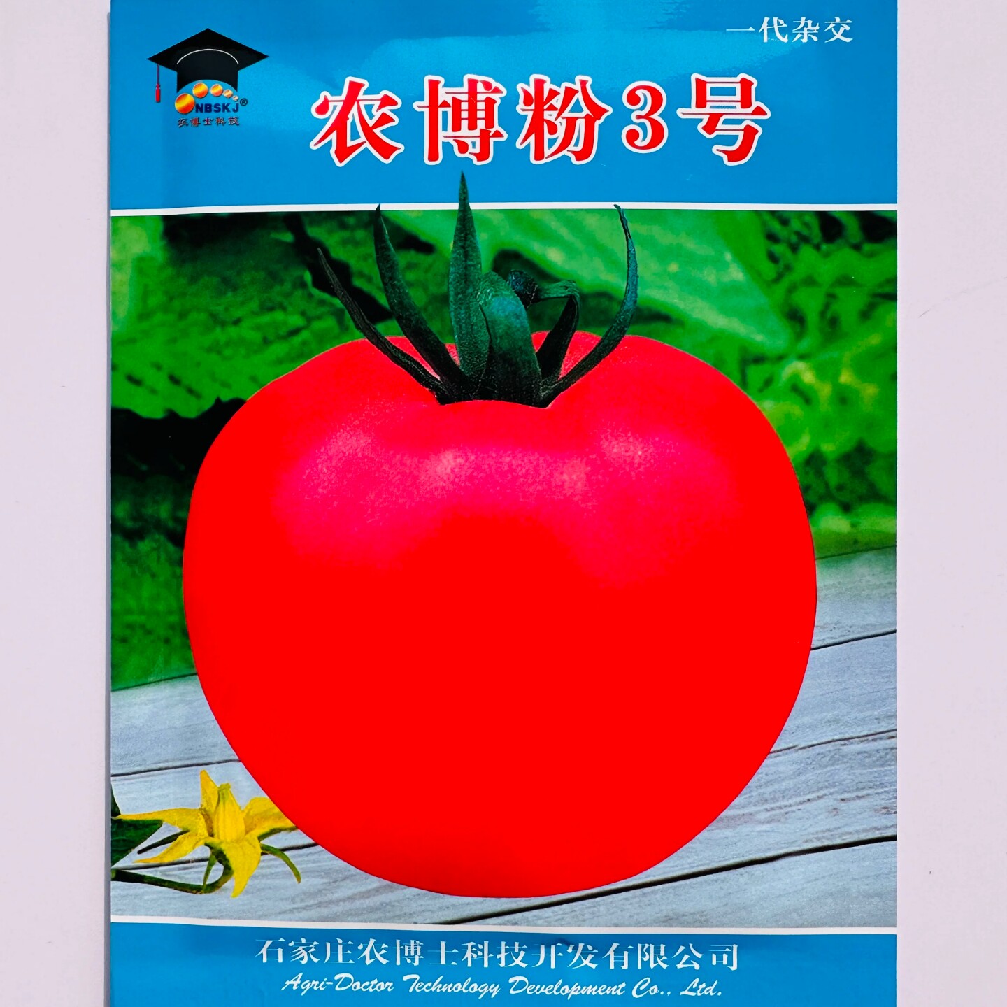 农博粉3号儿时味道西红柿种子春秋夏季耐热薄皮粉果沙瓤番茄种子