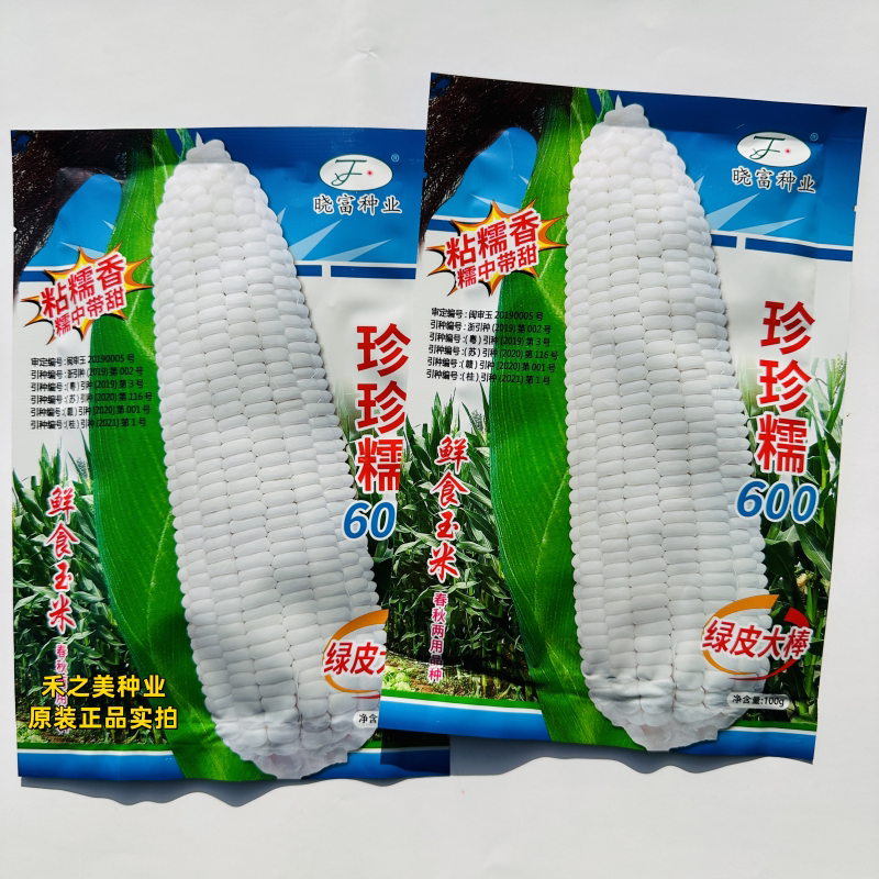 晓富珍珍糯600白甜糯玉米种子粘糯香Q弹大棒高产抗病农家大田春秋